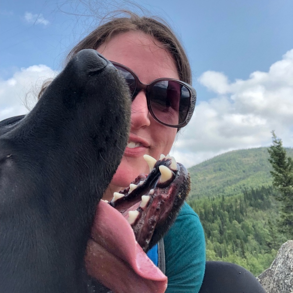 Meet your Posher, Meredith